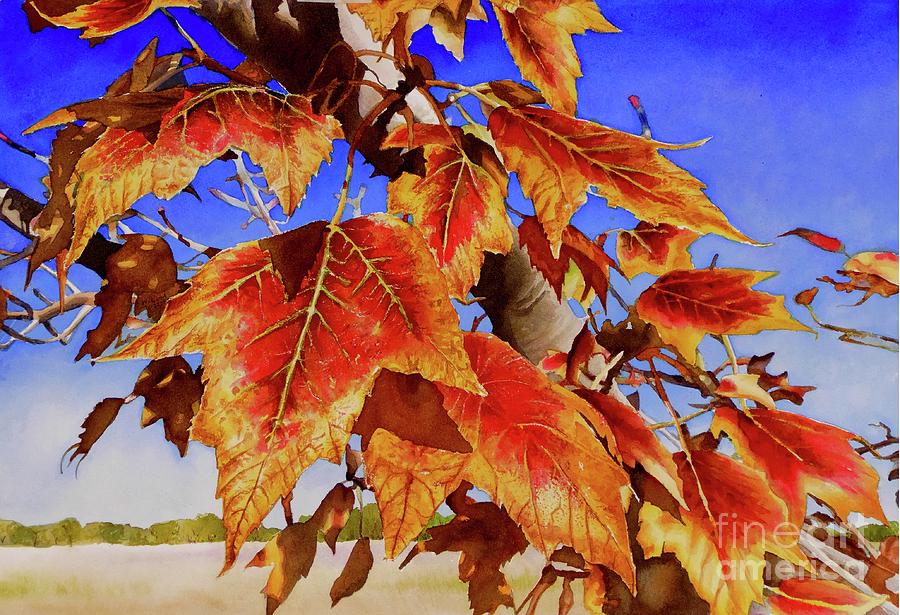 #199 Red Maple #199 Painting by William Lum