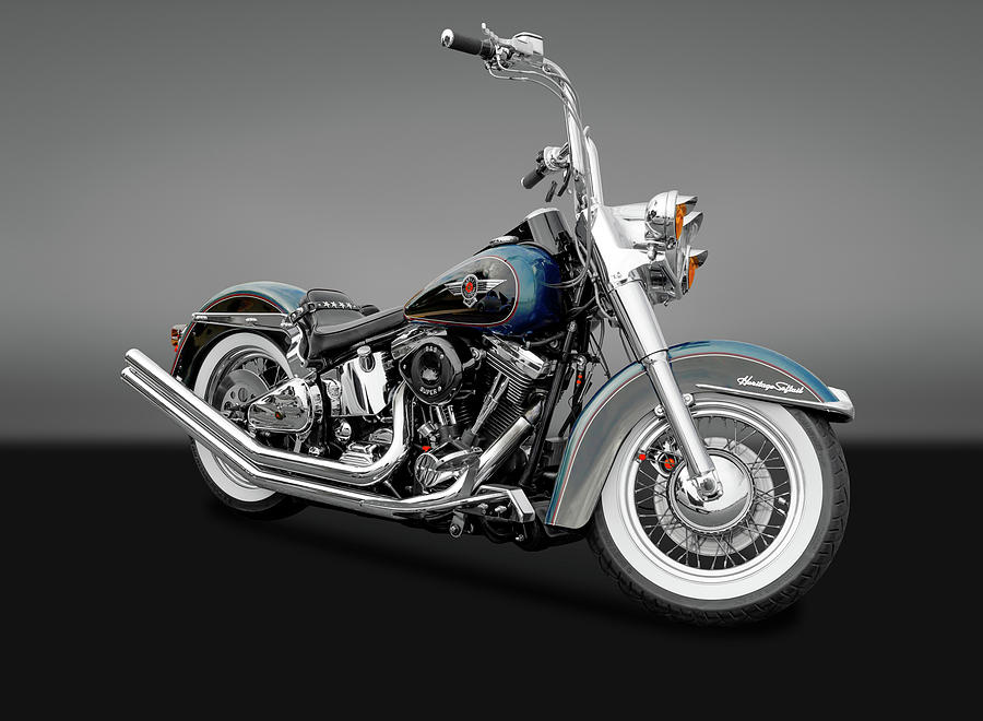 1995 Harley Davidson Heritage Softail Motorcycle 95harleyherisoftgry170264 Photograph By Frank J Benz