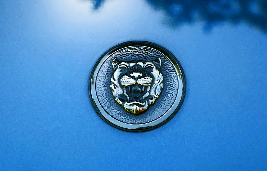 1995 Jaguar X J S Hood Emblem Photograph by Allen Beatty
