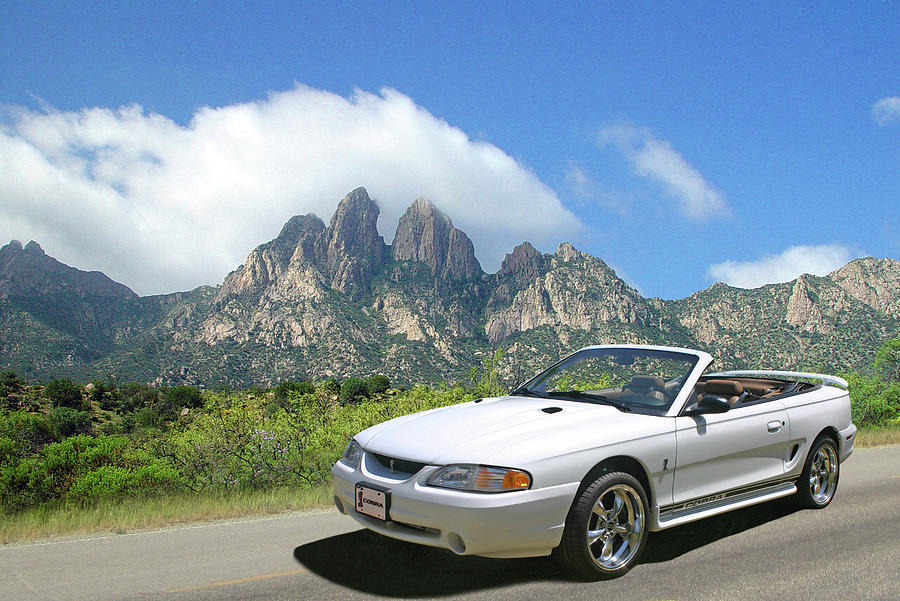 1997 S V T Mustang Cobra Photograph
