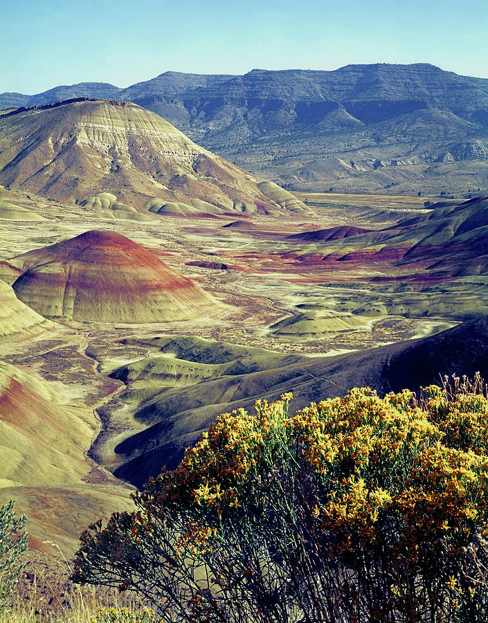 1A5710 V Painted Hill Unit John Day Fossil Beds Photograph by Ed Cooper Photography