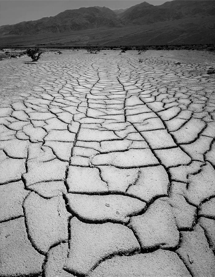1A6832 BW Mud Cracks in Death Valley Photograph by Ed Cooper Photography