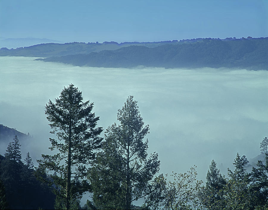 1B6321 Fog Fills Sonoma Valley CA Photograph by Ed Cooper Photography