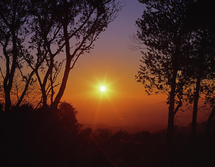 1B6348-A1 Sunrise over Sonoma Photograph by Ed Cooper Photography