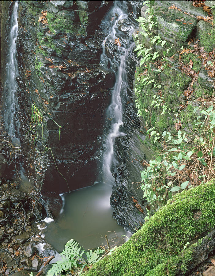 Waterfall Photograph - 1B6352 Falls on Sonoma Mountain by Ed Cooper Photography