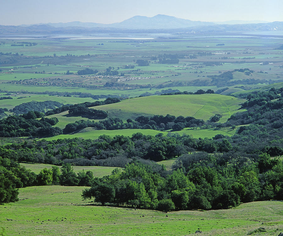1B6365 Mt. Diablo from Sonoma Mountain Photograph by Ed Cooper Photography