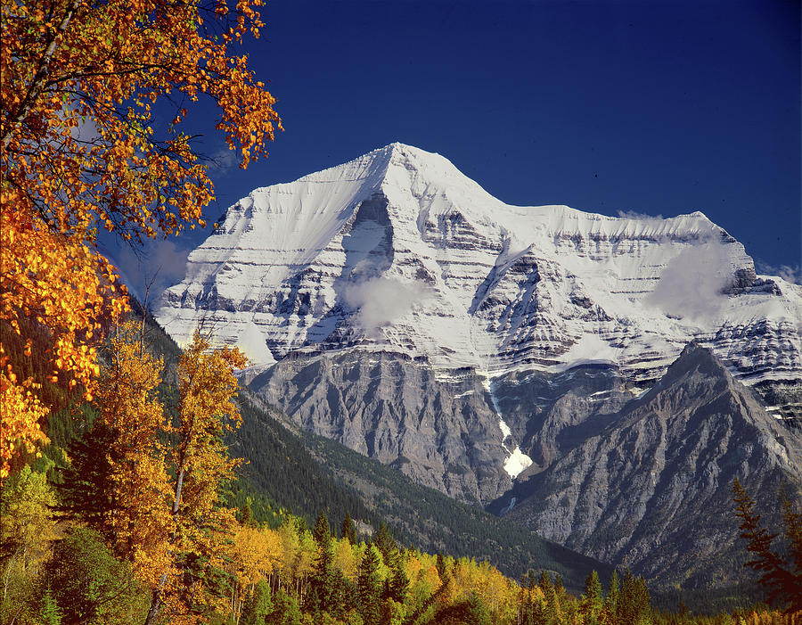 1M2440 Mt. Robson in Fall Photograph by Ed Cooper Photography