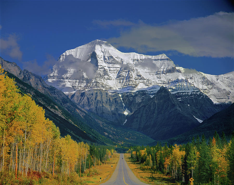 1M2441-H Mt. Robson and Yellowhead Highway H Photograph by Ed Cooper Photography