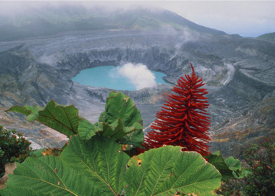 1M51120 Poas Volcano Costa Rica Photograph by Ed Cooper Photography