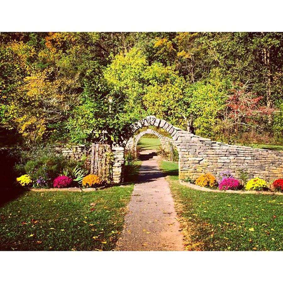 Fall Photograph - Arched by Haley Church