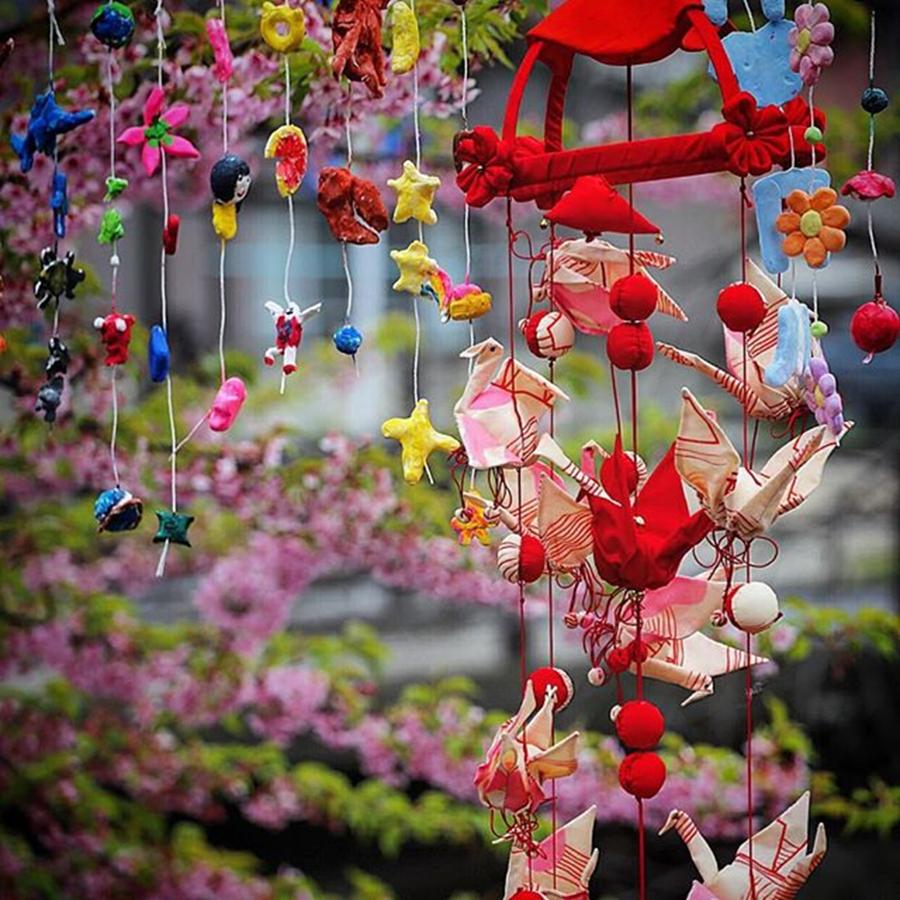Cherryblossom Photograph - Cherry Blossom by Hideki Sato