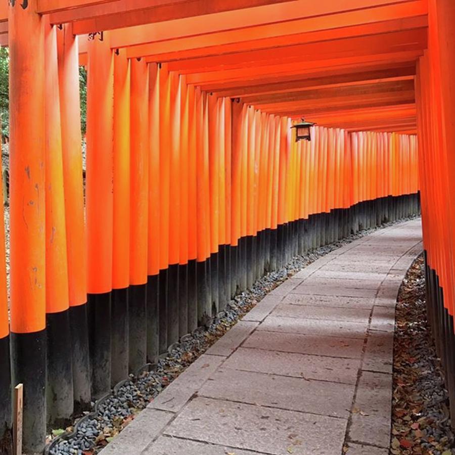 Spring Photograph - 京都は外国人がたくさん #2 by Ri Ki