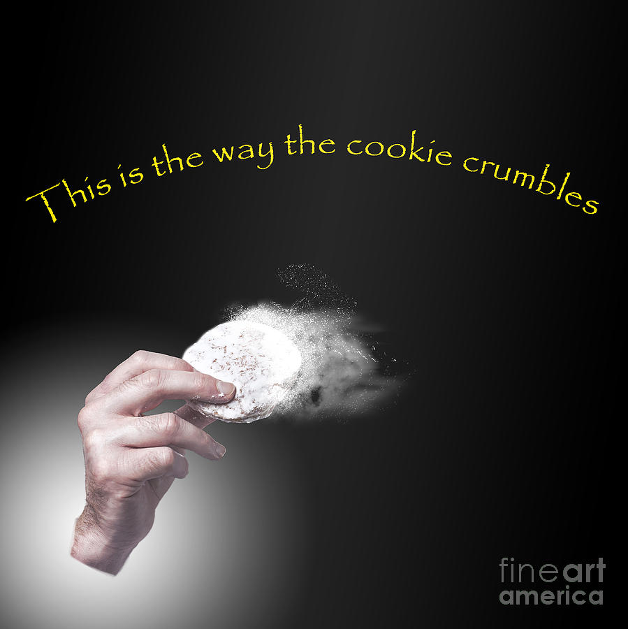 Thats The Way The Cookie Crumbles Photograph By Humorous Quotes Fine Art America