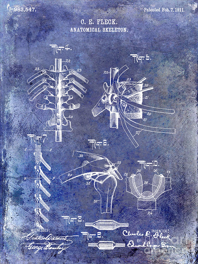 Skeleton Photograph - 1911 Anatomical Skeleton Patent Blue #2 by Jon Neidert