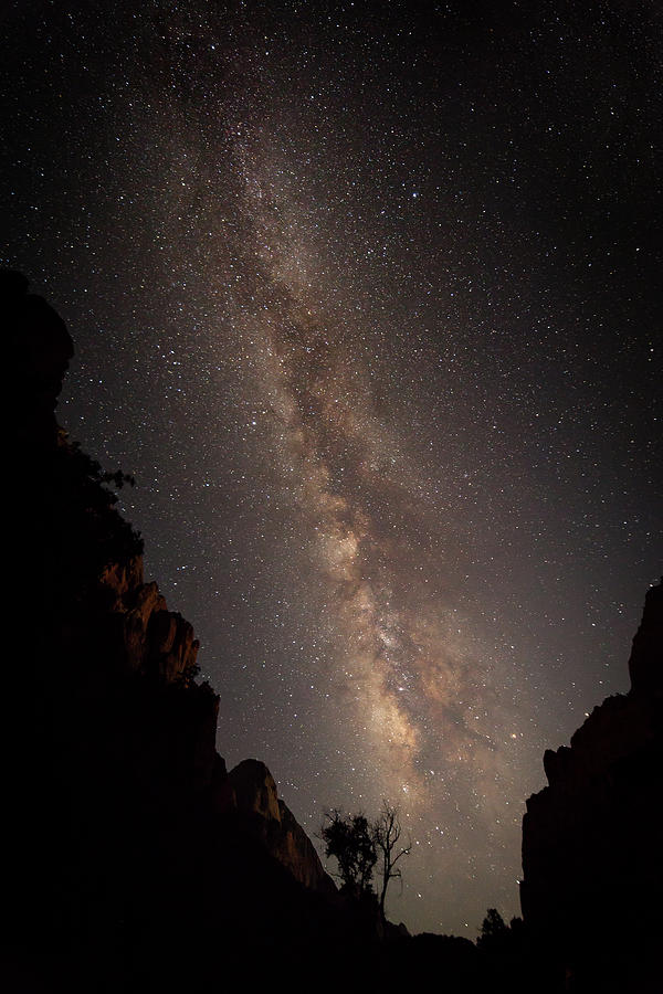A Dark Night In Zion Canyon #2 Photograph by David Watkins