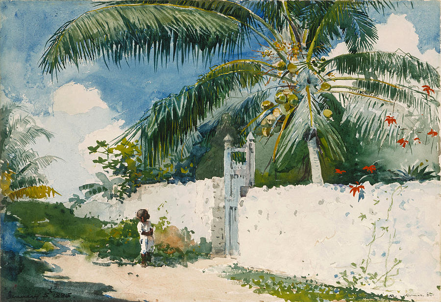 A Garden in Nassau Drawing by Winslow Homer