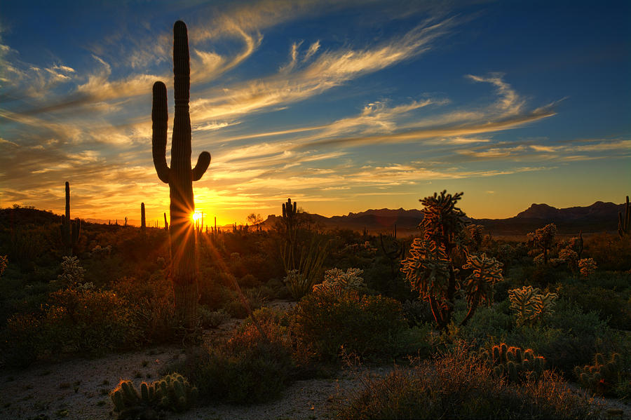 Sunset Photograph - A Golden Desert Sunset  #2 by Saija Lehtonen