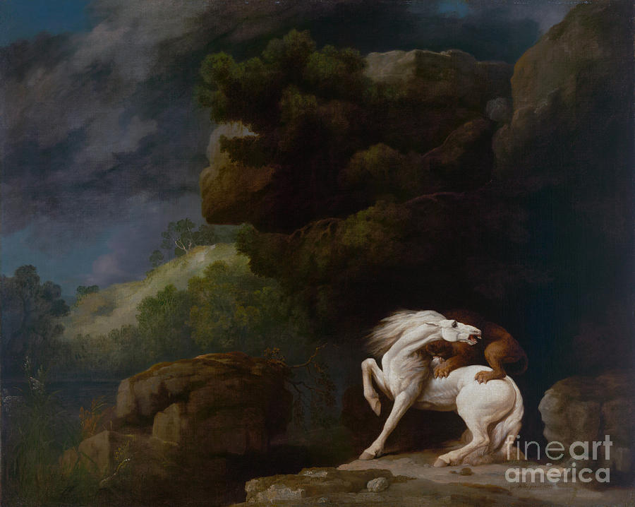 A Lion Attacking a Horse #2 Painting by Celestial Images