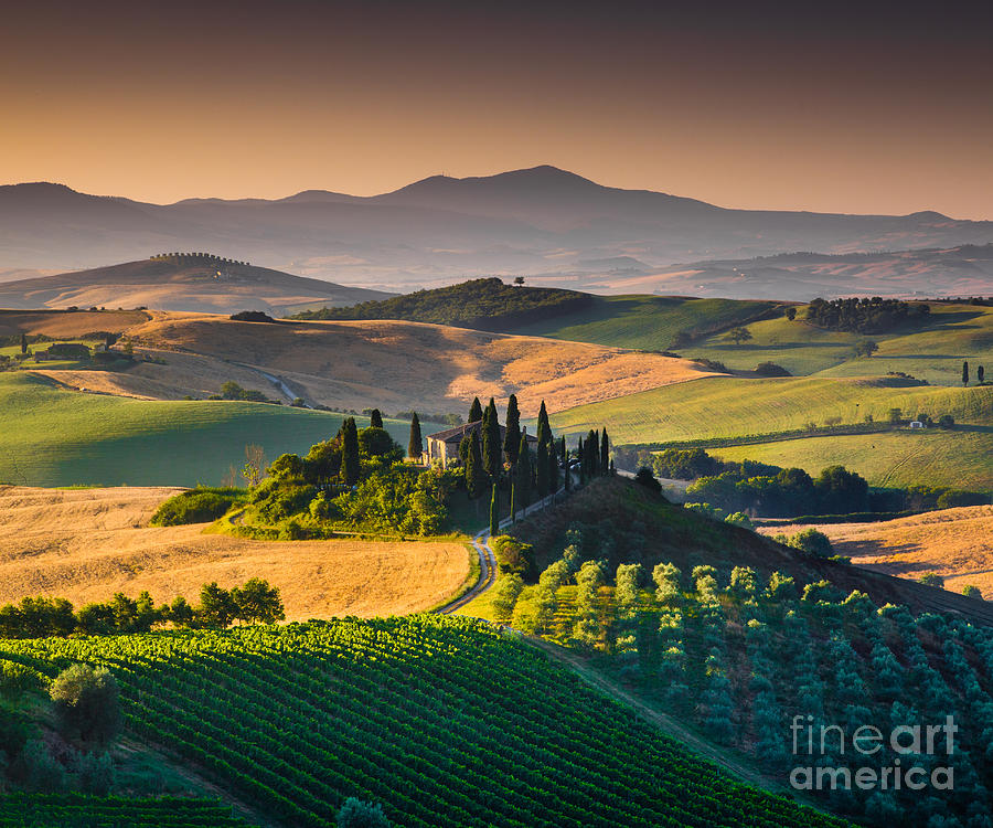 A Morning in Tuscany #3 Photograph by JR Photography