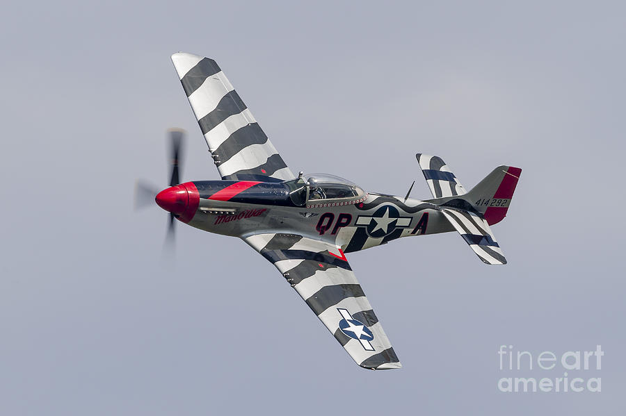 Vintage Photograph - A P-51 Mustang Flies By At Willow Run #2 by Rob Edgcumbe