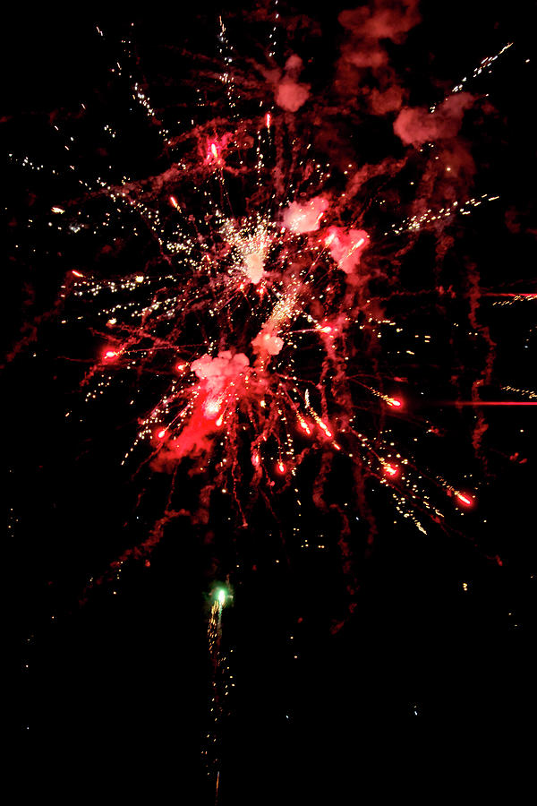 A shining colorful firework #2 Photograph by Gina Koch
