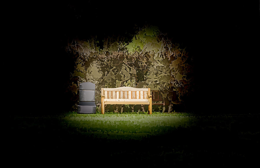 A Trash Can And Wooden Benches In A Small Grassy Area Photograph