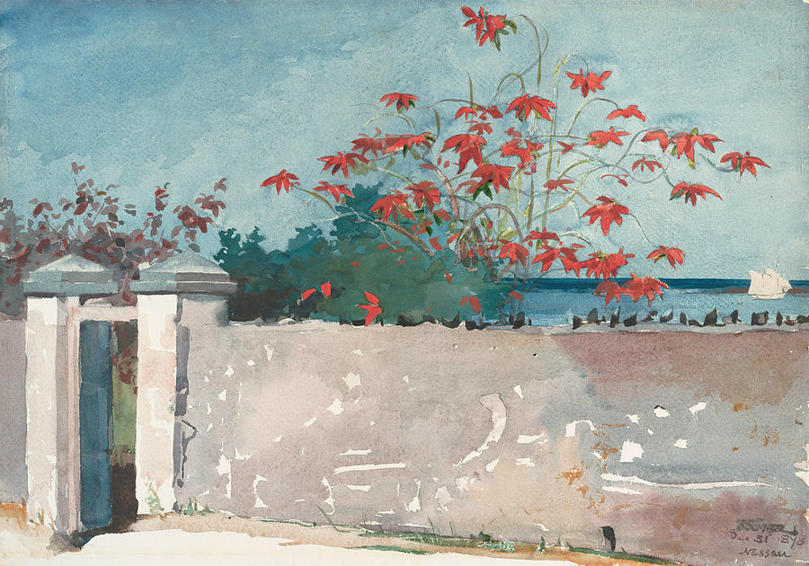 A Wall, Nassau Drawing by Winslow Homer
