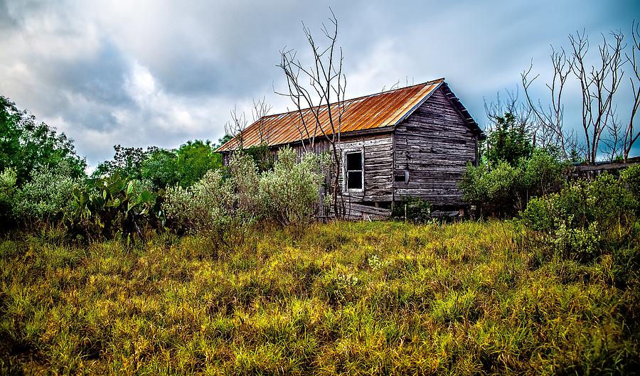 Abandoned Log Cabin House Deep Woods In Texas #2 Photograph by Alex Grichenko