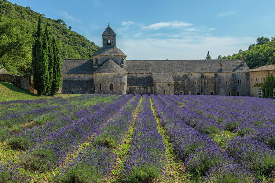Abbaye Notre-Dame de Senanque - France #2 Photograph by Joana Kruse