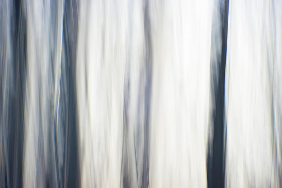 Abstract Digital Painting Of A Thick And Heavy Wooded Forest At  #2 Photograph by Alex Grichenko