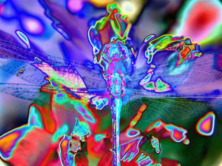 Abstract Dragonfly #2 Digital Art by Belinda Cox