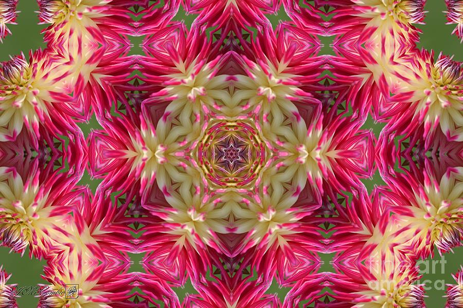 AC Joy Mandala #2 Digital Art by J McCombie