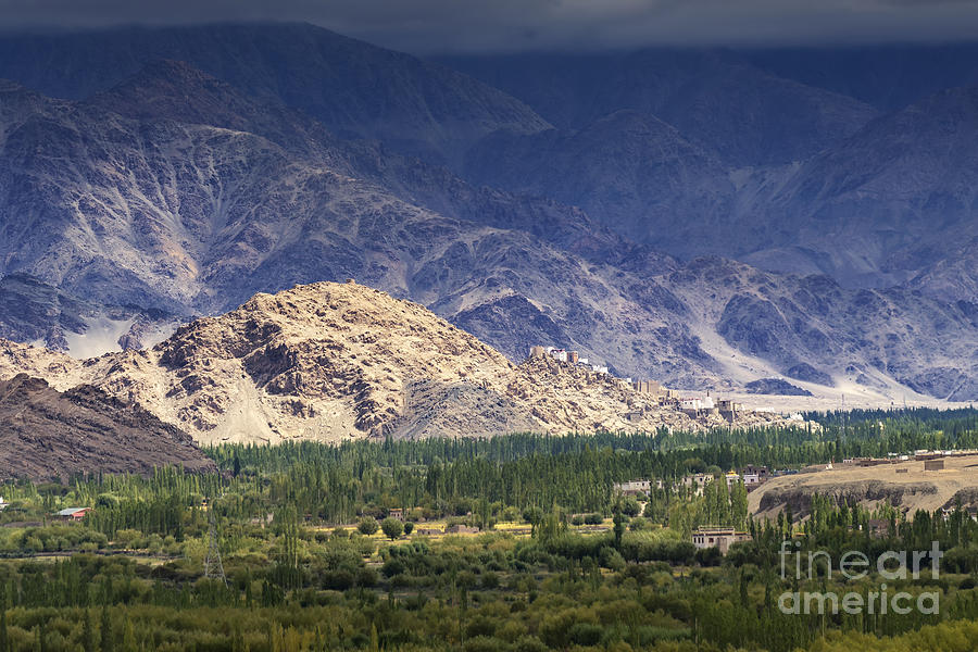 Nature Photograph - Aerial view of Leh City Landscape Ladakh Jammu and Kashmir India #2 by Rudra Narayan  Mitra