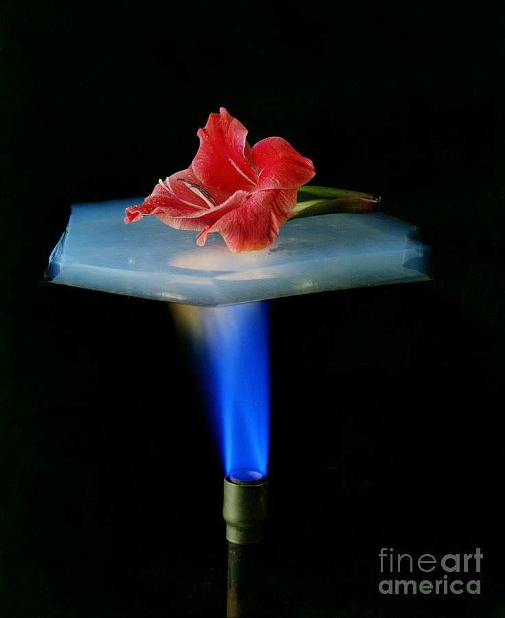 Aerogel, Synthetic Ultralight Material #2 Photograph by Science Source