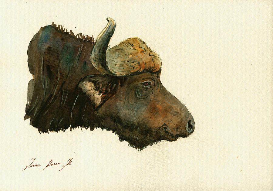 African Buffalo Painting - African buffalo watercolor painting #2 by Juan  Bosco