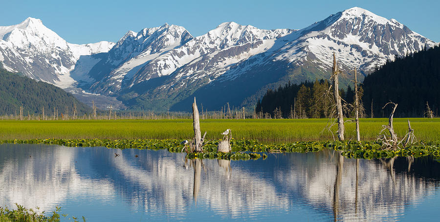 Alaska Coastal Landscape #2 Photograph by Scott Slone