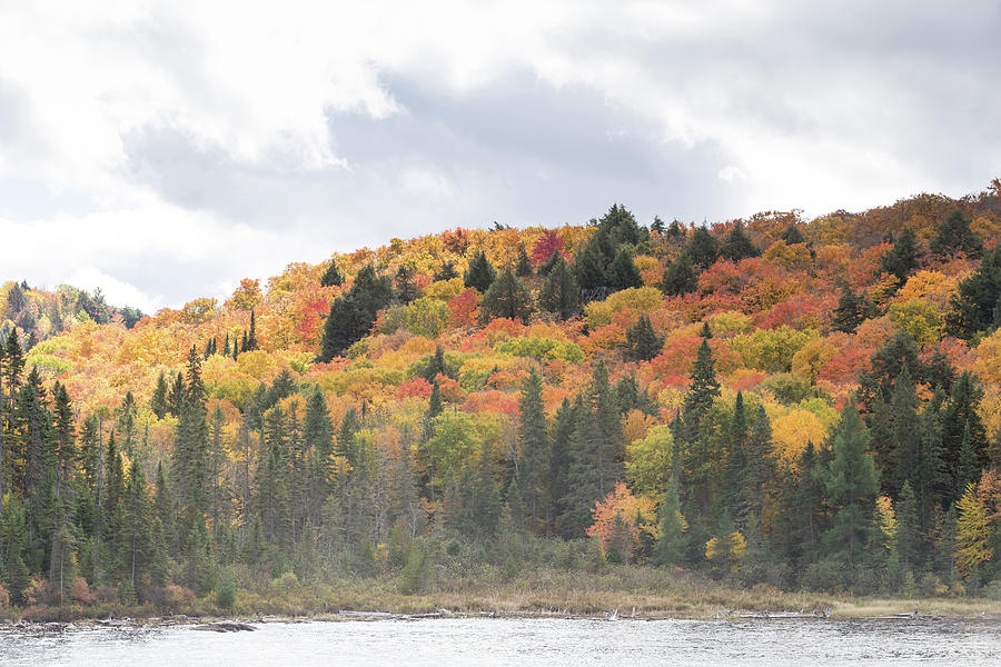 Algonquin Park in fall #2 Photograph by Josef Pittner