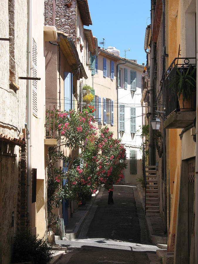 Flower Photograph - Alley - Provence by Christiane Schulze Art And Photography