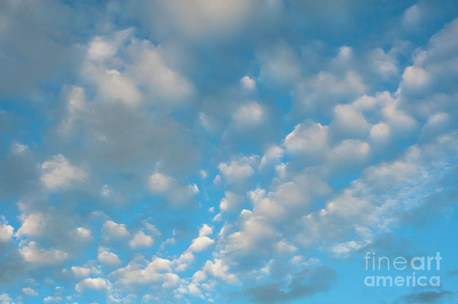 Altocumulus Clouds Patterns #5 Photograph by Jim Corwin