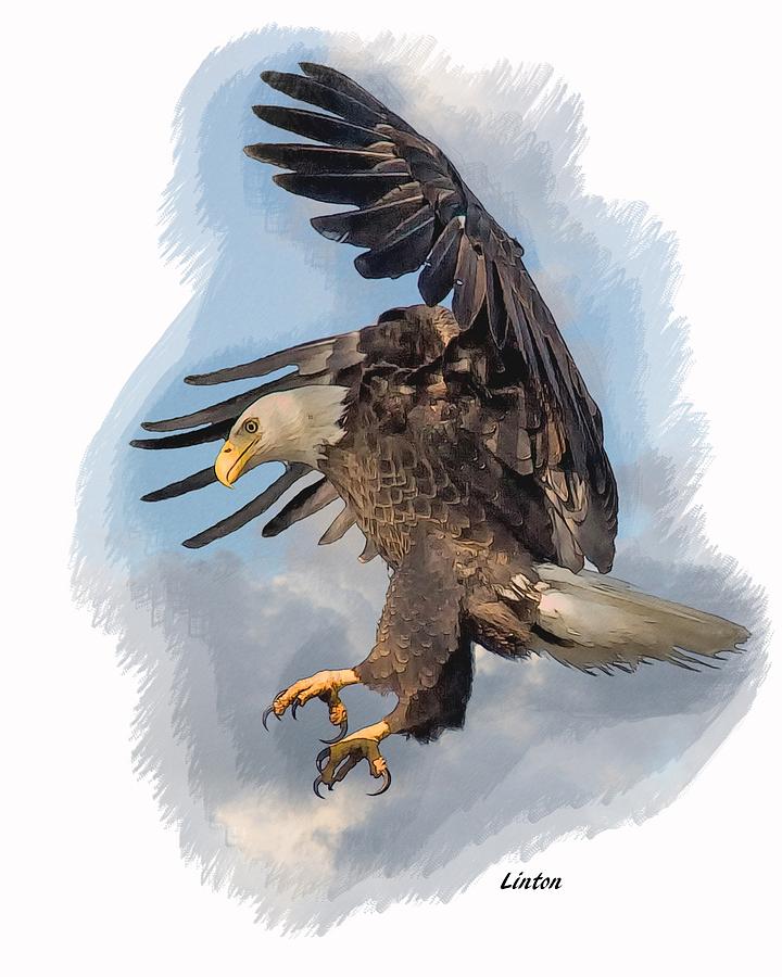 American Bald Eagle #2 Digital Art by Larry Linton