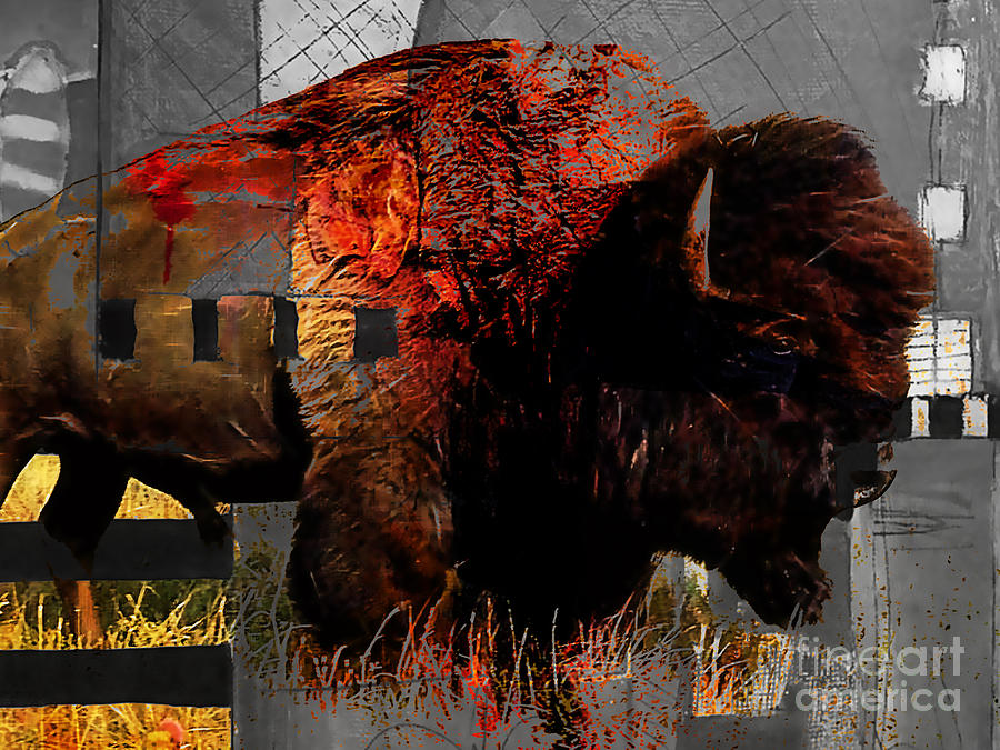 American Buffalo Collection #2 Mixed Media by Marvin Blaine