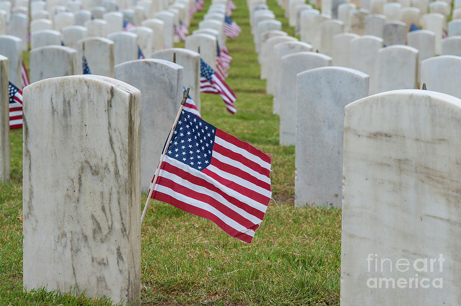 American Flags at Cemetery #2 Photograph by Jim Corwin