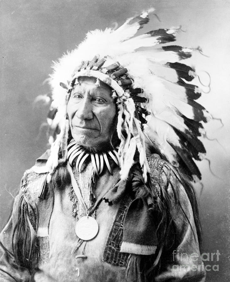 American Horse, Oglala Lakota Indian #2 Photograph by Science Source