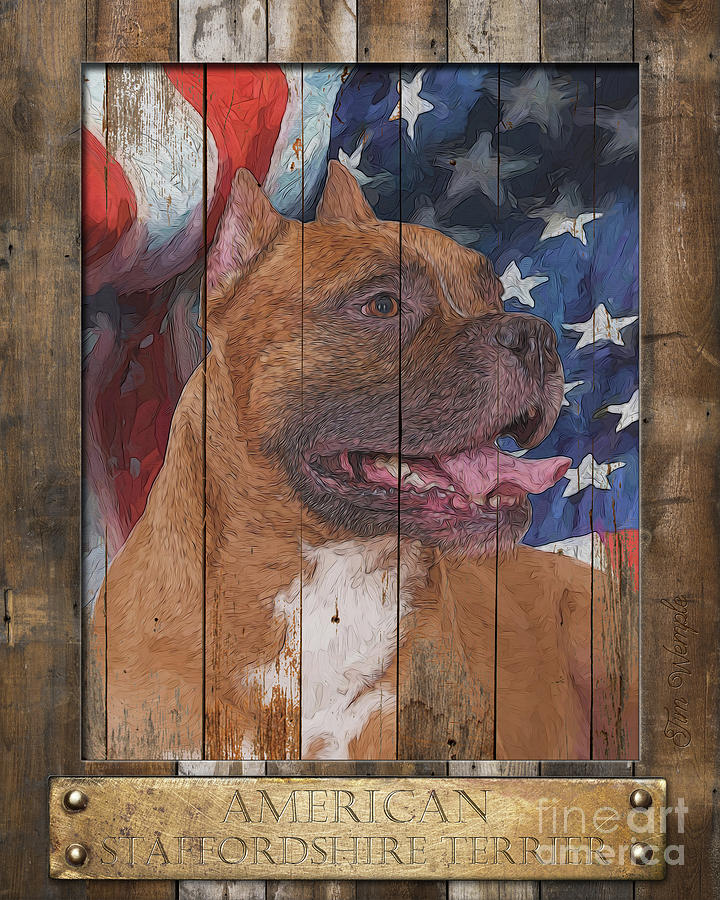 American Staffordshire Terrier Poster #2 Digital Art by Tim Wemple