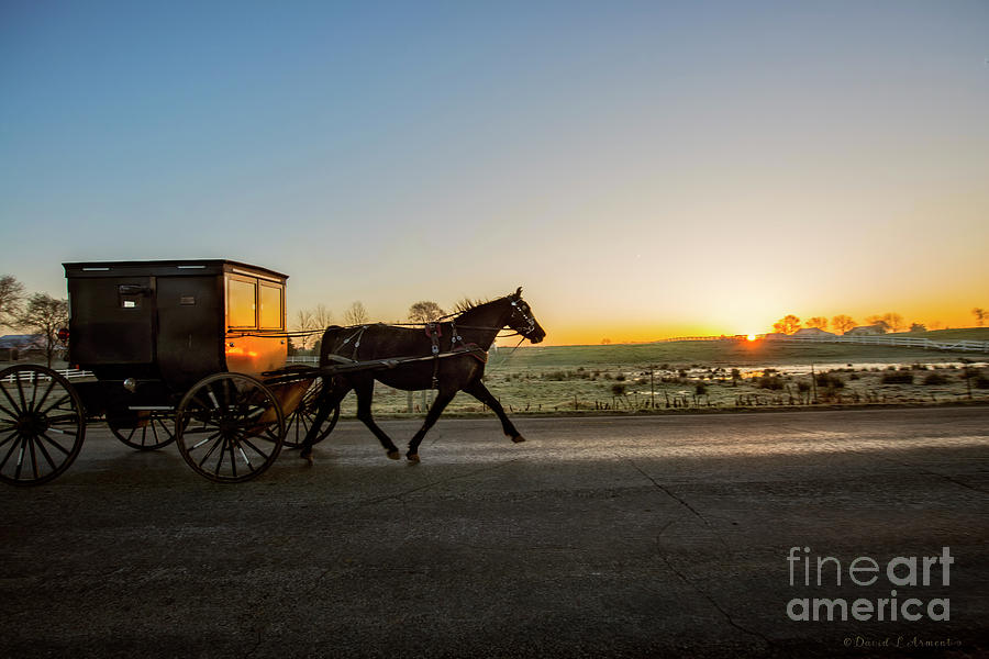 Amish Buggy at Dawn #2 Photograph by David Arment