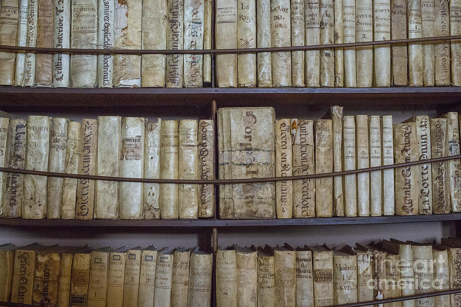 Very old books Photograph by Patricia Hofmeester