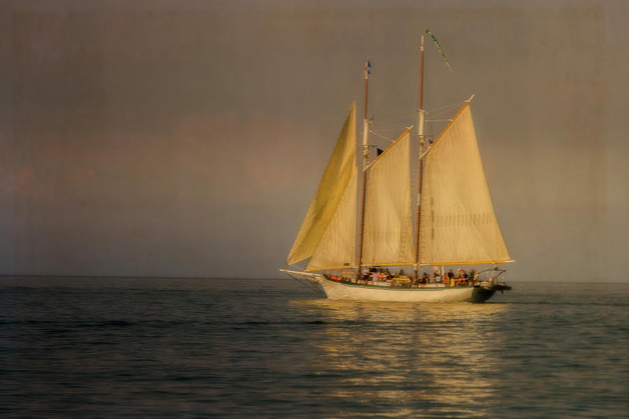Appledore IV #2 Photograph by Jack R Perry