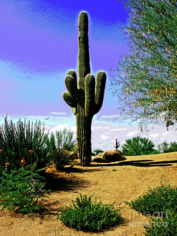 Arizona Cactus #2 Photograph by Larry Oskin