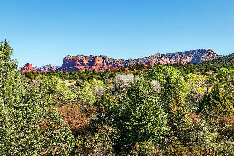 Arizona Landscape #2 Photograph by Doug Long