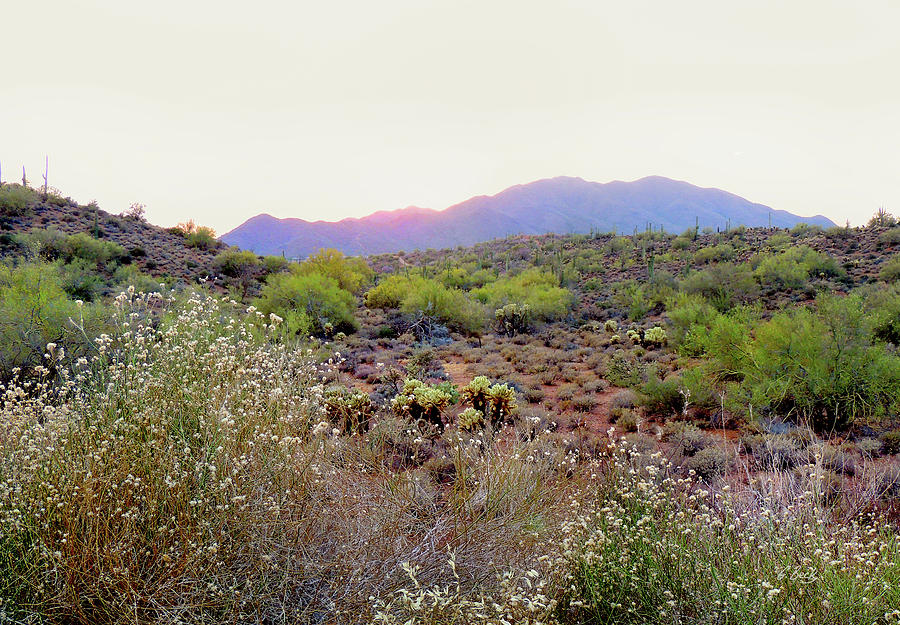 Sunset Photograph - Arizona Sunset #1 by Gordon Beck